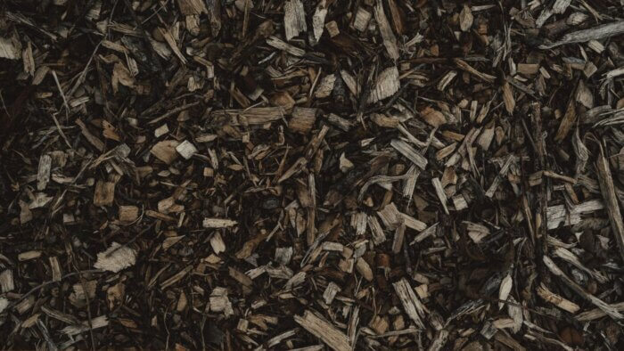 A pile of compost