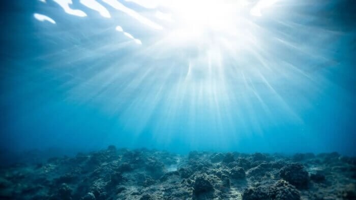 A clear blue ocean with the sun shining in it
