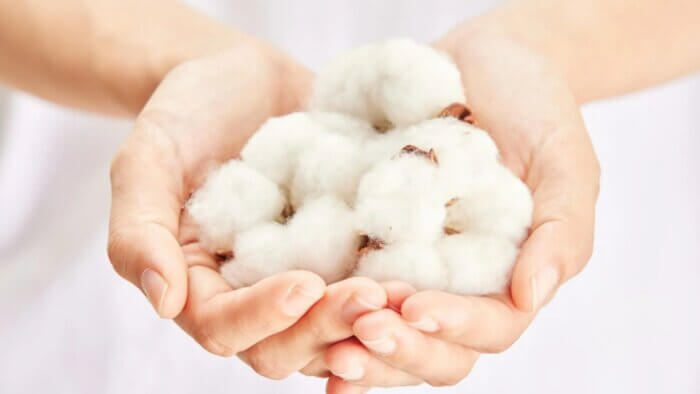 A person holding white fluffy plant wool in their hands