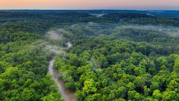An aerial shot of a large forest full of green trees